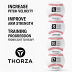 Thorza Weighted Baseballs for Pitching & Throwing Training