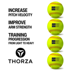 Thorza 12" Weighted Training Softballs