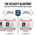 Thorza Weighted Baseballs for Throwing